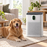 Cosari ClearAir 300